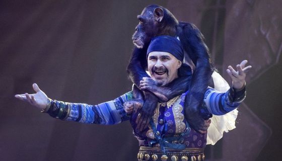 Цирк на воде «Царство фонтанов»