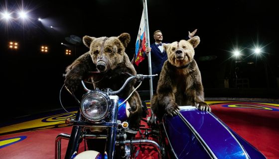 Цирк Филатовых