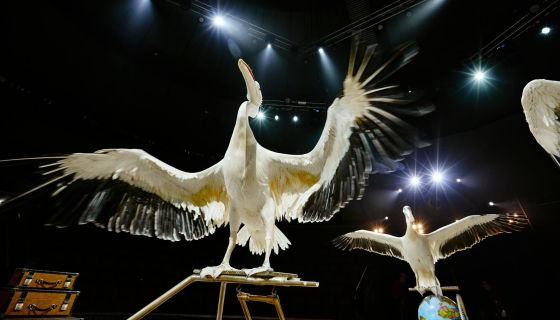 Цирк Филатовых