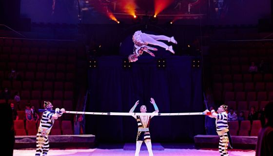 Цирк Филатовых