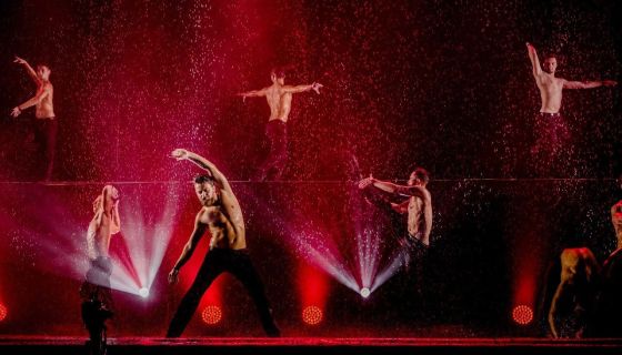 Шоу под дождём V. Признание в любви