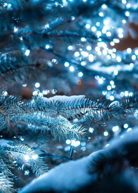 Спектакль «Волшебник Изумрудного города»