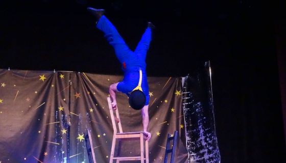 Цирк Юрия Инкулец. Шоу «Как приручить Беззубика»