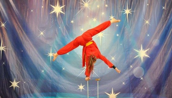 Цирк Юрия Инкулец. Шоу «Как приручить Беззубика»